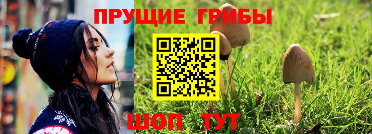 Галлюциногенные грибы MAGIC MUSHROOMS  Вход с VPN  Новочебоксарск 